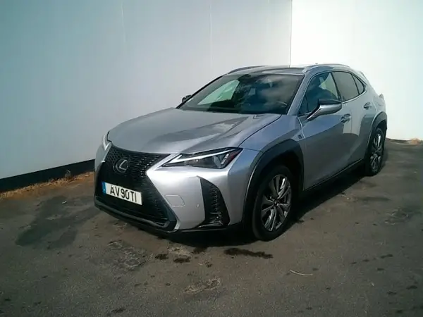 UX 250h